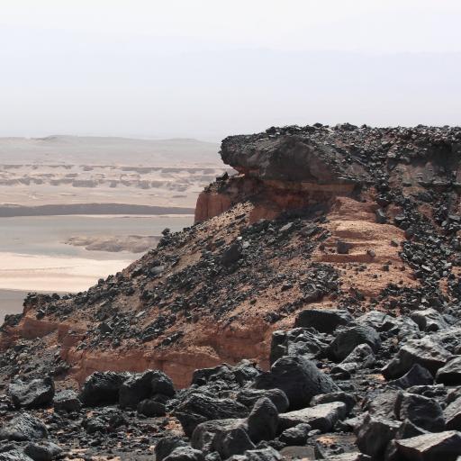 عکس گندم بریان