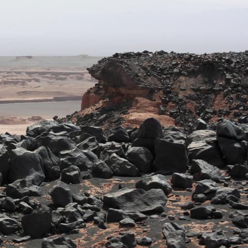 عکس گندم بریان