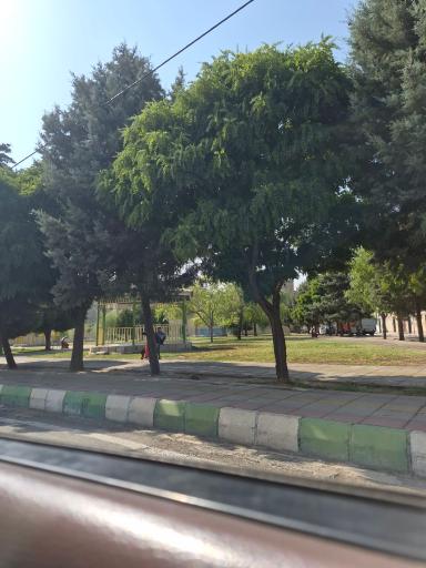 عکس بوستان لاله