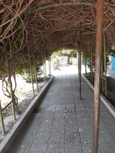 عکس پارک گلها