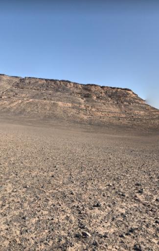 عکس گندم بریان