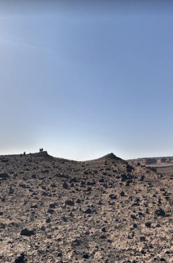 عکس گندم بریان