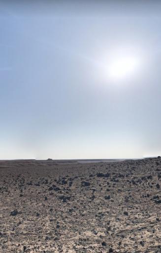 عکس گندم بریان