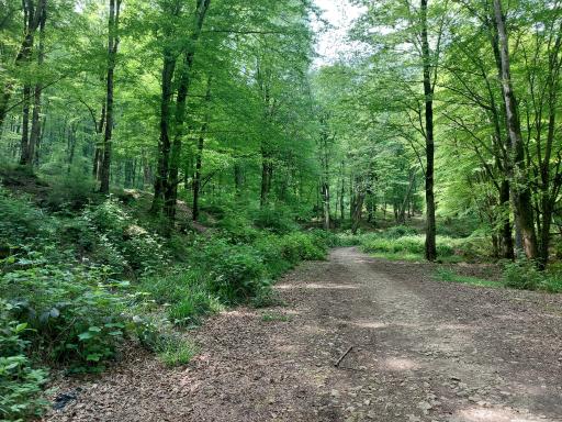 عکس منطقه توریستی چشمه سرخ او