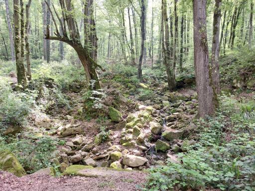 عکس منطقه توریستی چشمه سرخ او