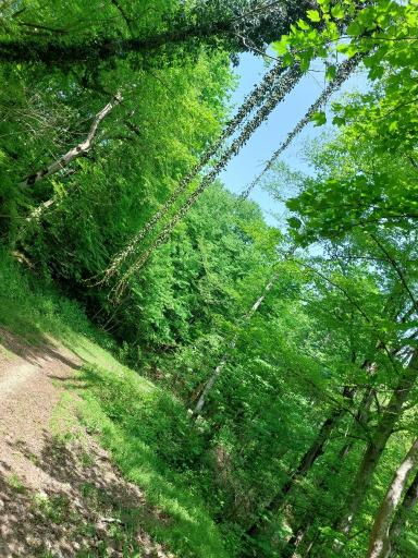 عکس منطقه توریستی چشمه سرخ او