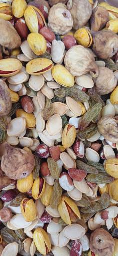 عکس خشکبار همایی