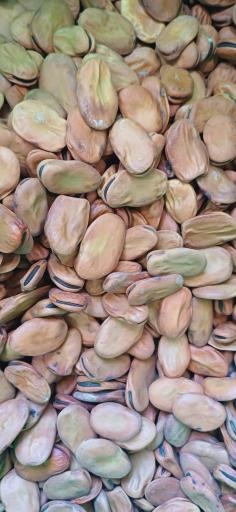 عکس خشکبار همایی