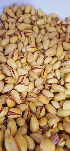 عکس خشکبار همایی