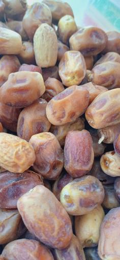 عکس خشکبار همایی