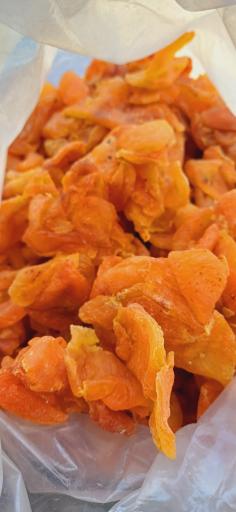 عکس خشکبار همایی