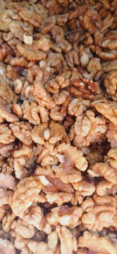 عکس خشکبار همایی