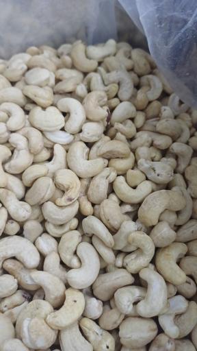 عکس خشکبار همایی