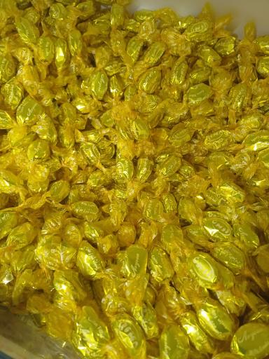 عکس خشکبار همایی