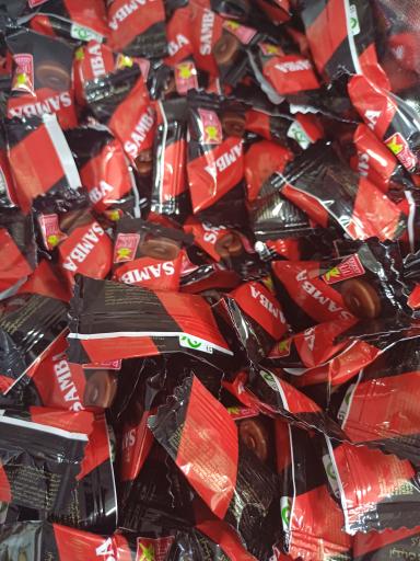 عکس خشکبار همایی