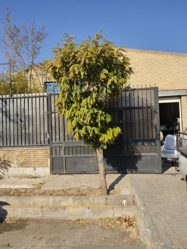 عکس مبلمان ویلایی متالوکس