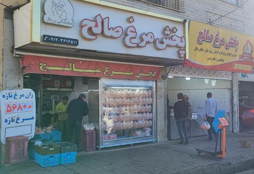 عکس پخش مرغ و ماهی صالح