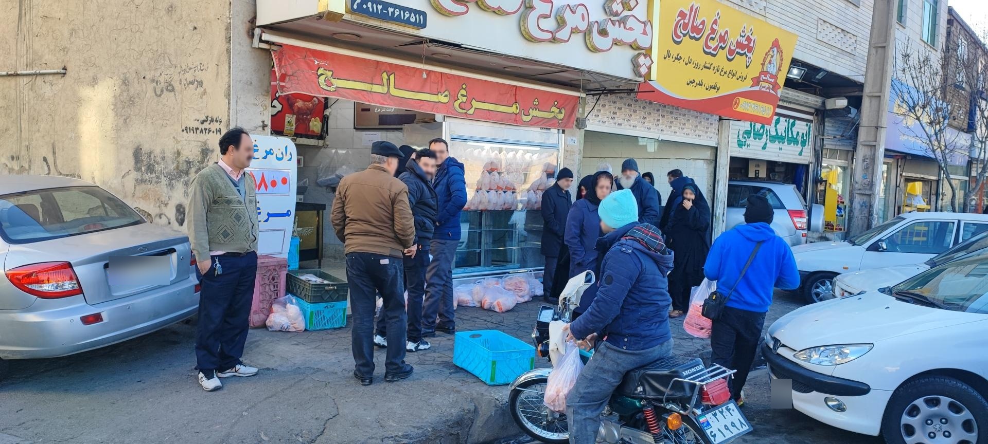 عکس پخش مرغ و ماهی صالح