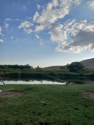 عکس قره آغاج