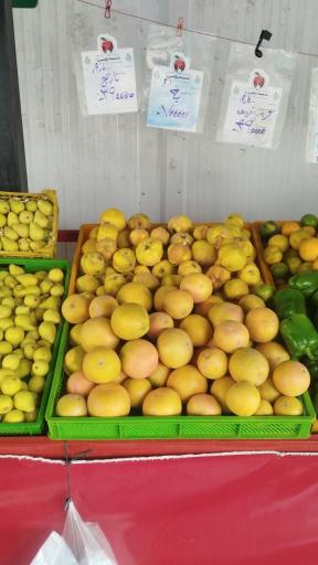 عکس بازارمیوه وتره بار شیخ صدوق