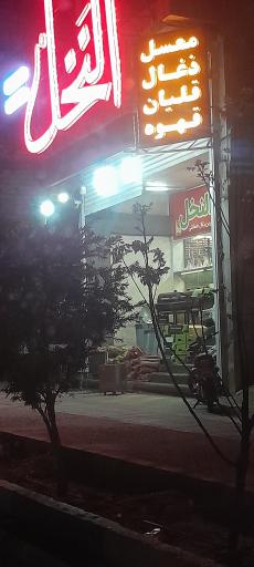 عکس قلیون سرا النخل
