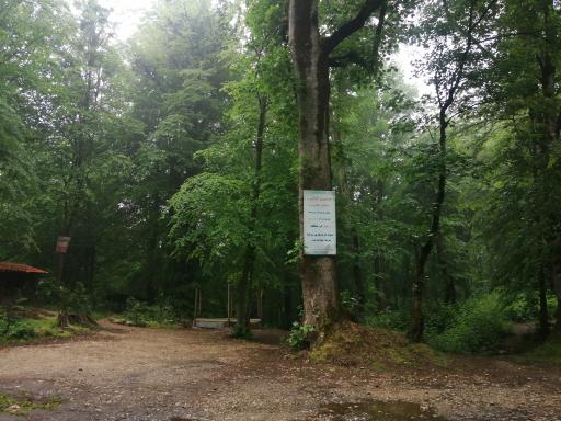 عکس منطقه توریستی چشمه سرخ او