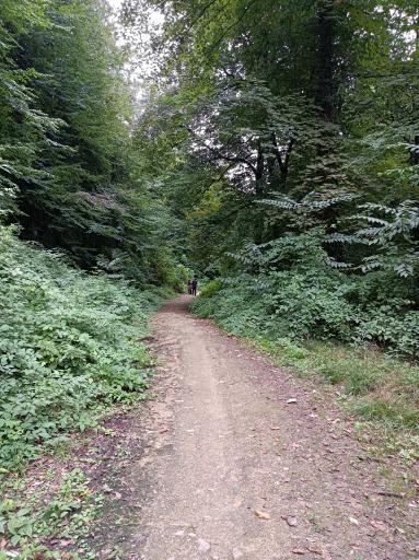 عکس منطقه توریستی چشمه سرخ او