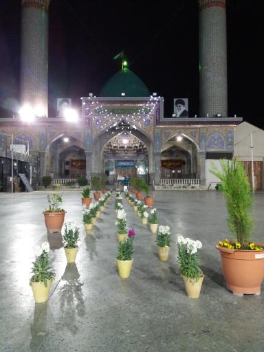 عکس امامزاده شاه میر حمزه (ع)