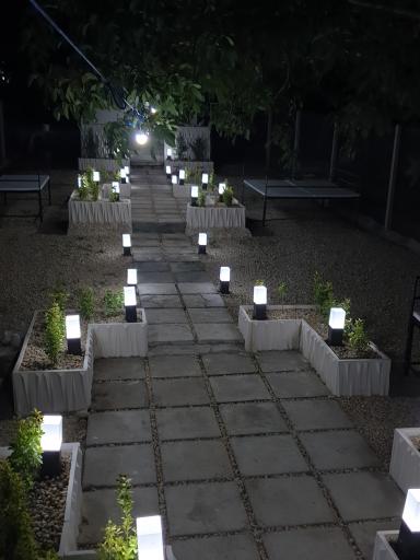 عکس باغ گردو