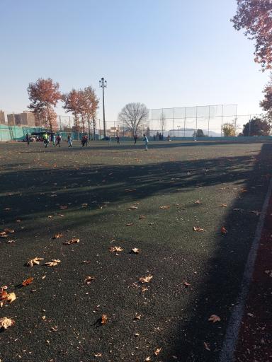 عکس زمین فوتبال دارایی