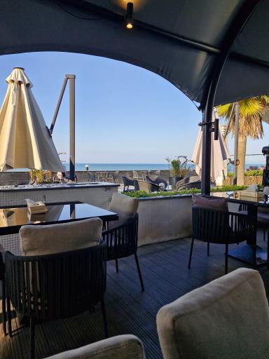 عکس سوخاری کیلویی پوچینی