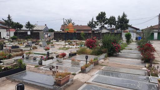 عکس حرم مطهر بی بی حوریه (س)