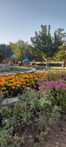 عکس پارک طالقانی