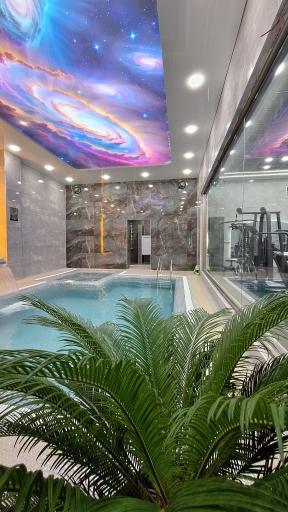 عکس استخر توینس