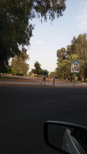 عکس میدان زید