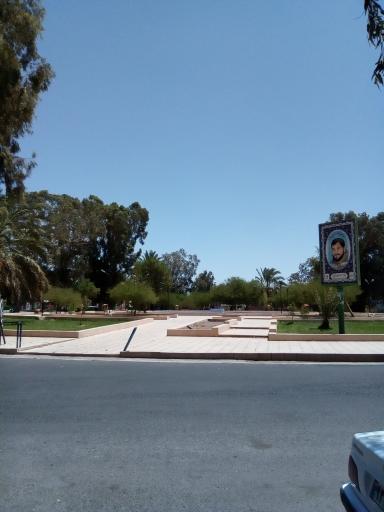 عکس میدان زید