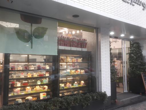 عکس باغ نان و شیرینی ناتلی