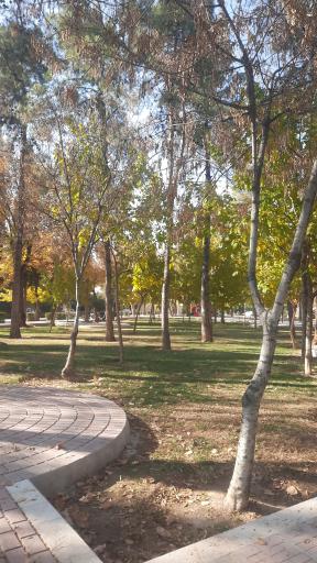 عکس پارک کوی زهرا