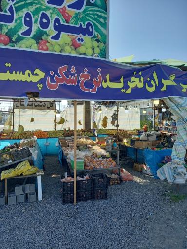 عکس ارزانکده میوه تربار