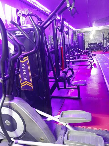 عکس باشگاه بدنسازی پیکان پور