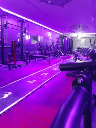 عکس باشگاه بدنسازی پیکان پور