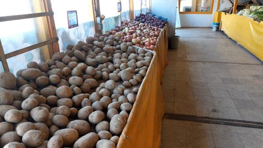 عکس بازار میوه و تره‌بار