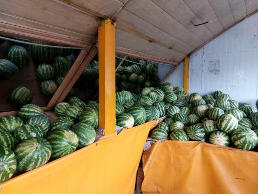 عکس بازار میوه و تره‌بار