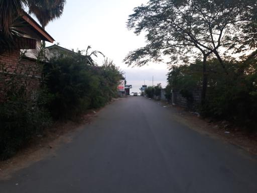 عکس شهرک زیتون