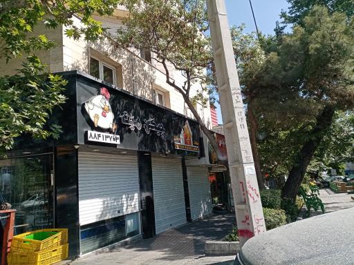 عکس چیکن میت 