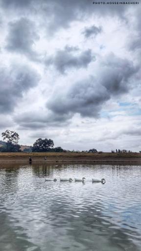 عکس دریاچه و سد خاکی توشن