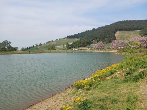 عکس دریاچه و سد خاکی توشن