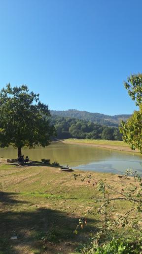 عکس دریاچه و سد خاکی توشن