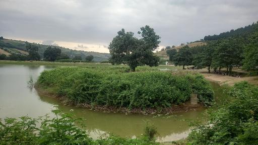 عکس دریاچه و سد خاکی توشن
