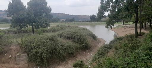 عکس دریاچه و سد خاکی توشن